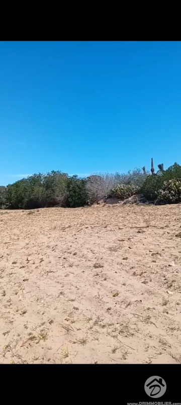 V775 -                            Vente
                           Terrain Djerba