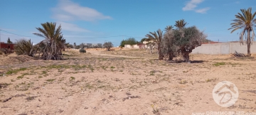 V776 -                            Vente
                           Terrain Djerba