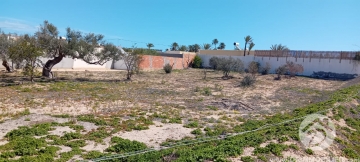 V777 -                            Vente
                           Terrain Djerba