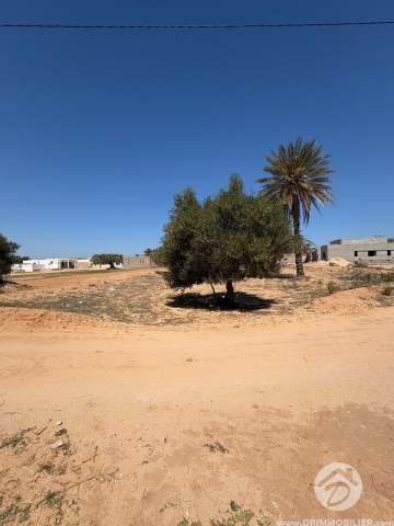 V779 -                            Vente
                           Terrain Djerba