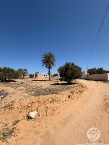 V779 -                            Vente
                           Terrain Djerba