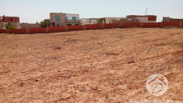 V788 -                            Vente
                           Terrain Djerba
