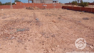 V788 -                            Vente
                           Terrain Djerba