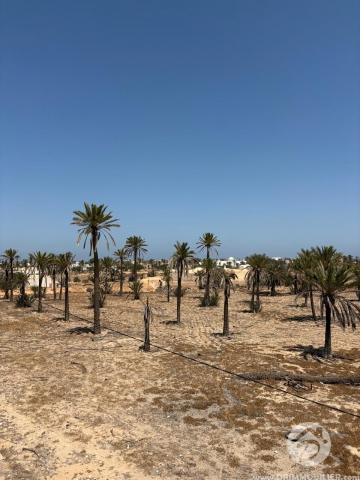 V790 -                            Vente
                           Houch Djerbien Djerba