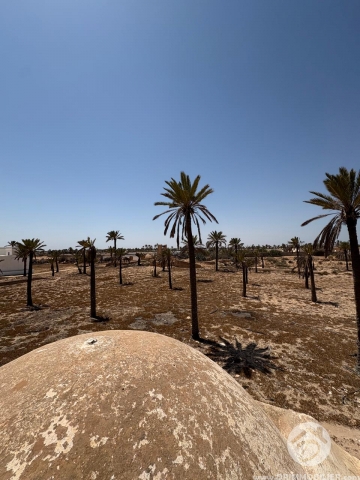 V790 -                            Vente
                           Houch Djerbien Djerba