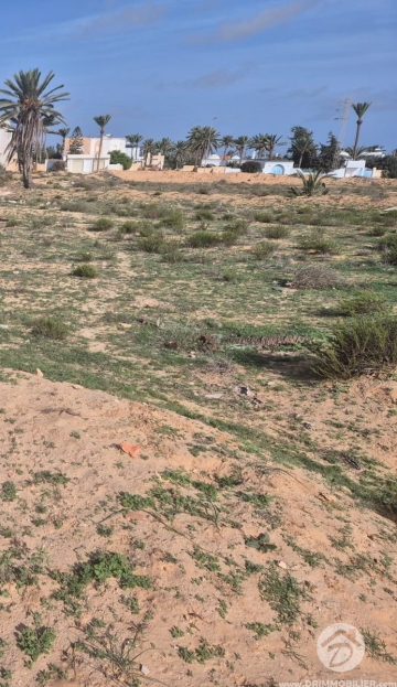 V795 -                            Vente
                           Terrain Djerba