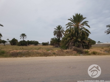 v225 -                            Vente
                           Terrain Djerba